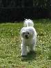 my babylove Plushke